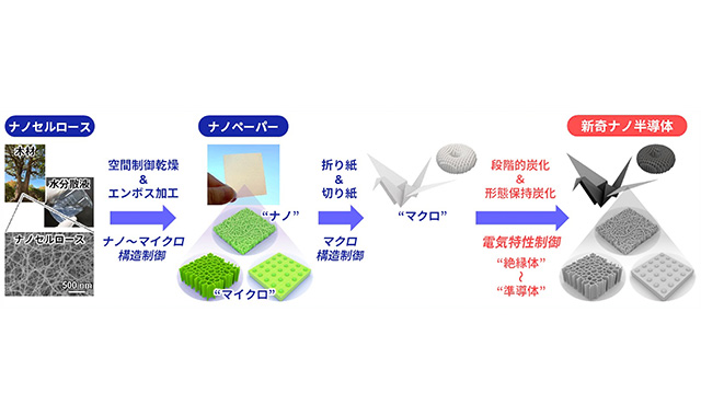 電気特性と3D構造をカスタマイズできる木材由来のナノ半導体を創出